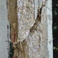 How to Protect Your Concrete from Deterioration