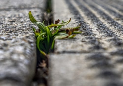 The Environmental Impact of Concrete: What You Need to Know